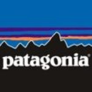 patagonia Logo